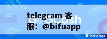 菲律宾支付接入：支持GCash支付和代收代付功能