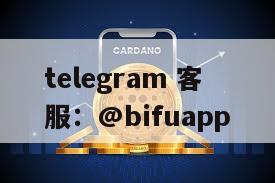 菲律宾三方支付【D0结算】接入币付Pay全流程指南