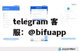 菲律宾三方支付【币付Pay】D0结算 | 秒到账，助力菲律宾支付服务优化支付体验