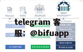 菲律宾第三方支付解决方案：币付Pay助力商户轻松接入